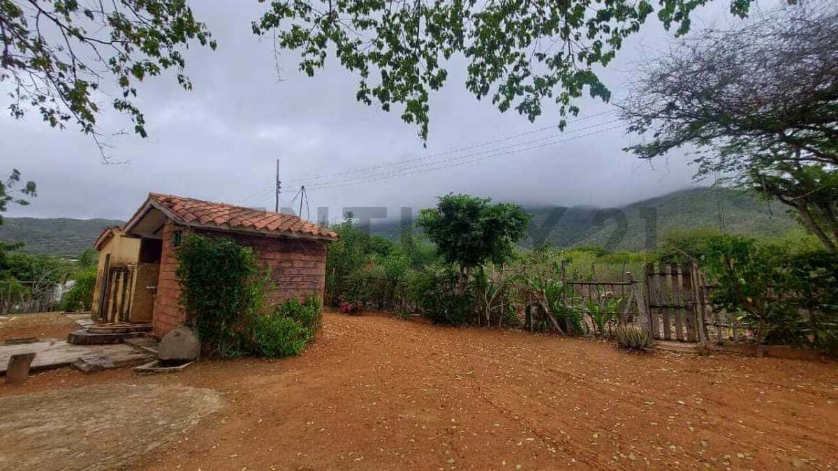 Vista 11