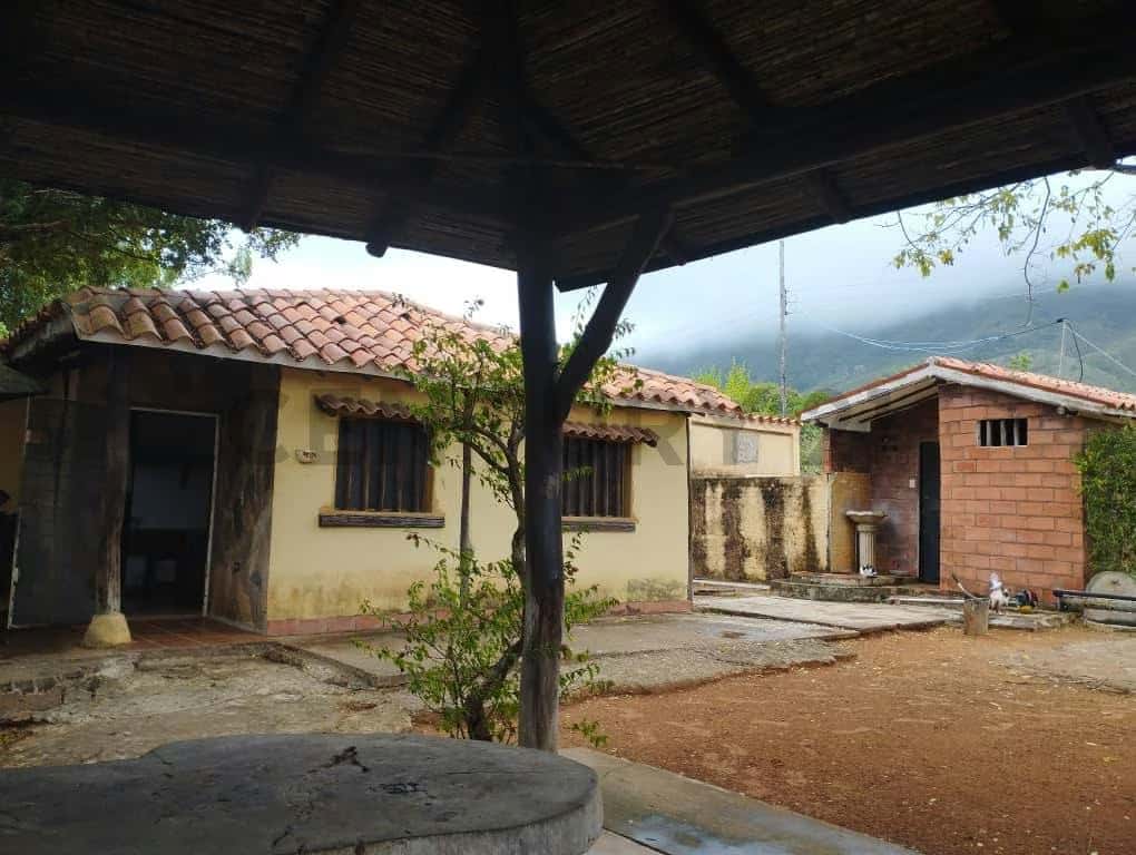 Vista 12