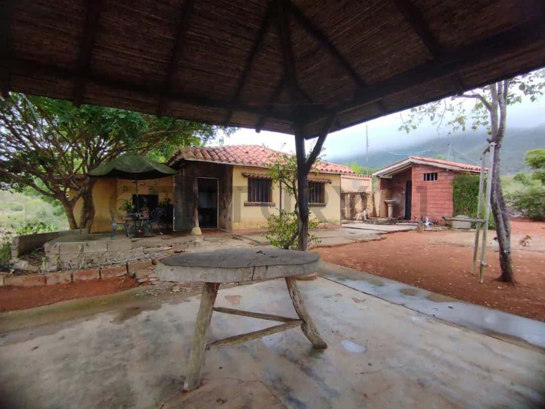 Vista 15