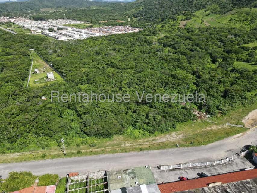 View 12