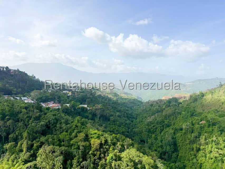 Vista 4