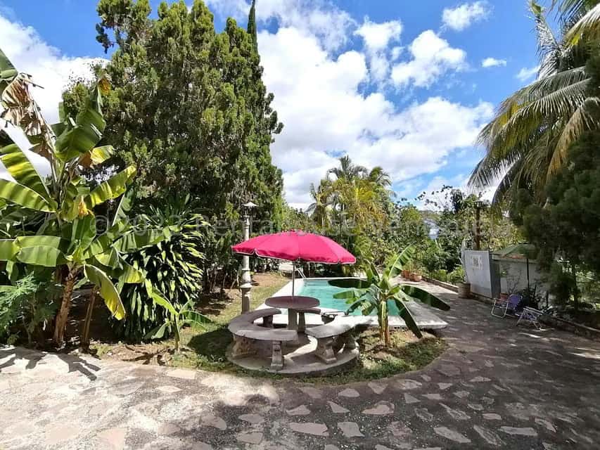 View 25