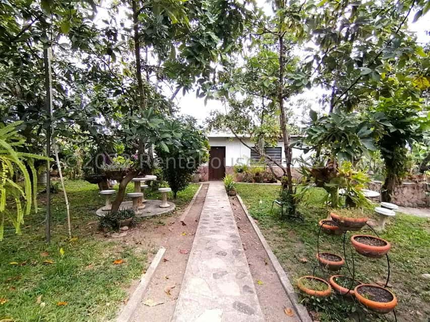 View 28