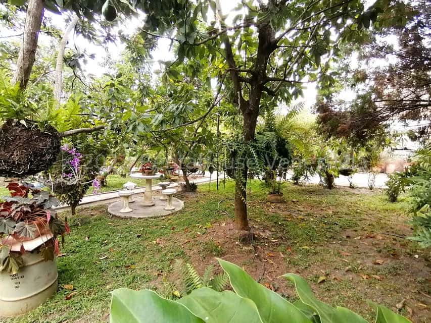 View 30
