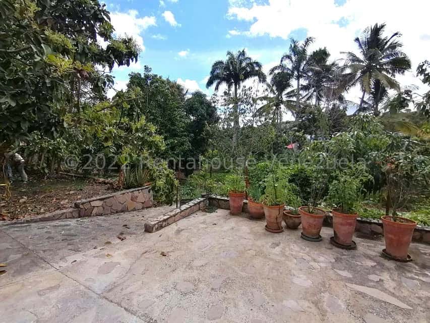 View 33