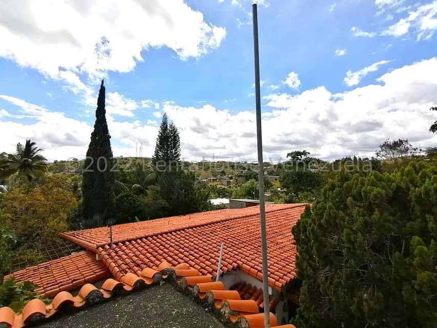 View 55