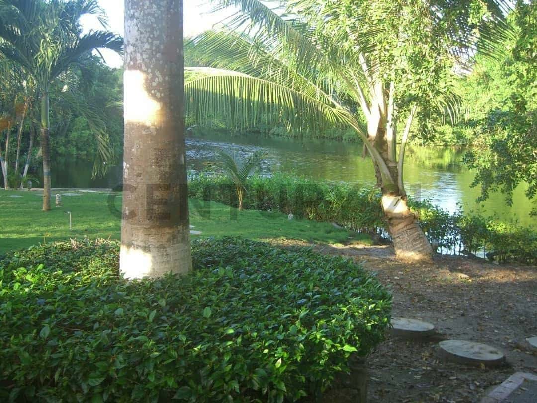 Vista 11