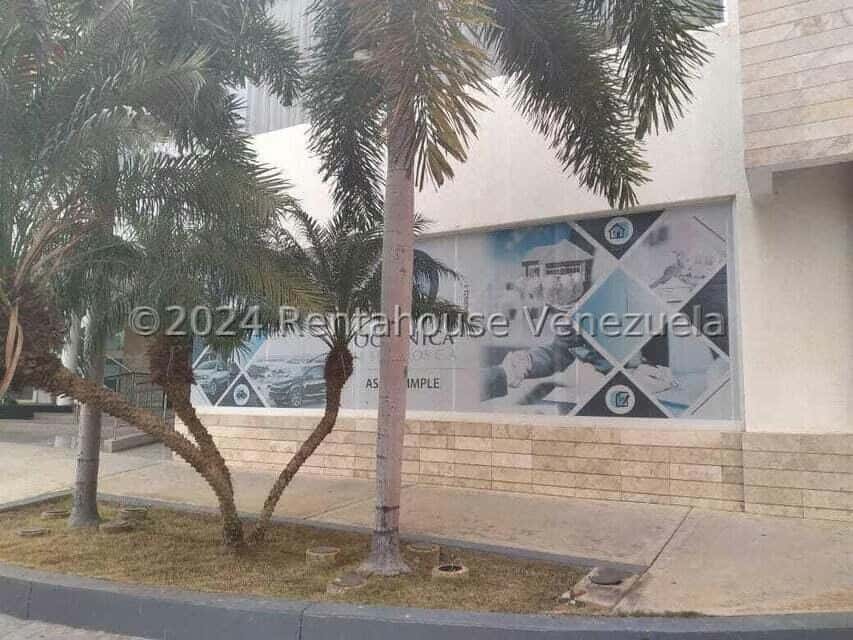 Vista 12
