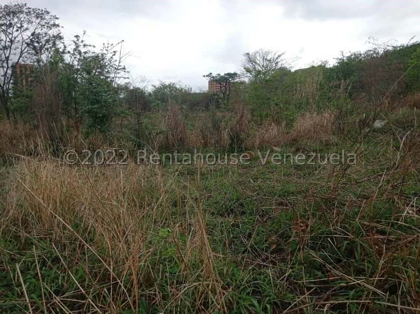 View 20