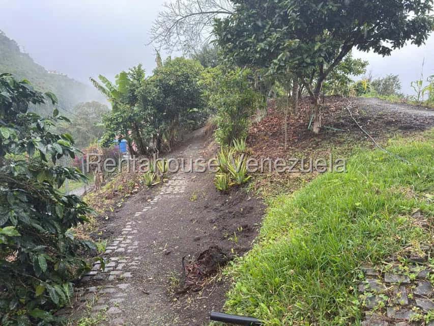 Vista 7