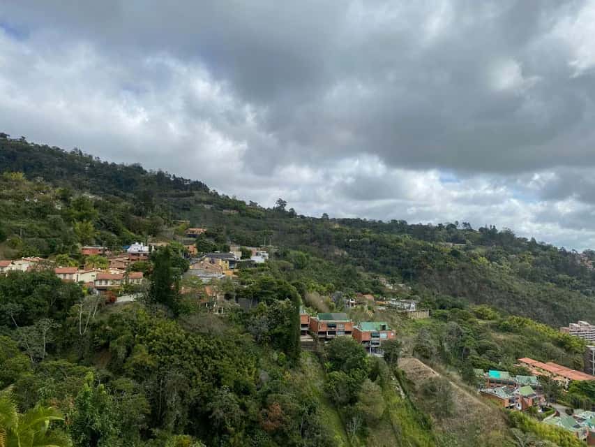 View 39