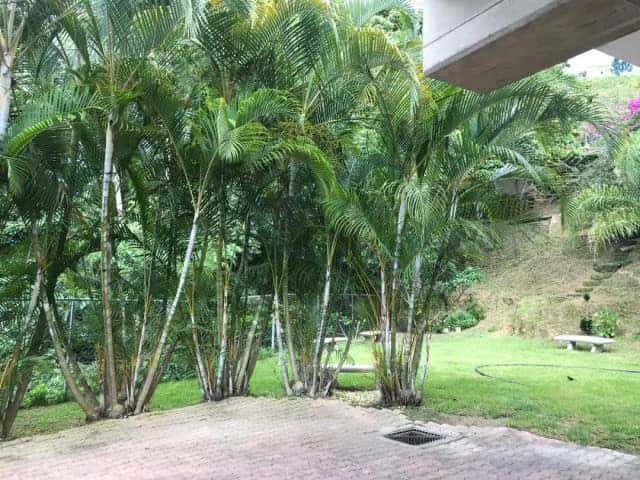View 51