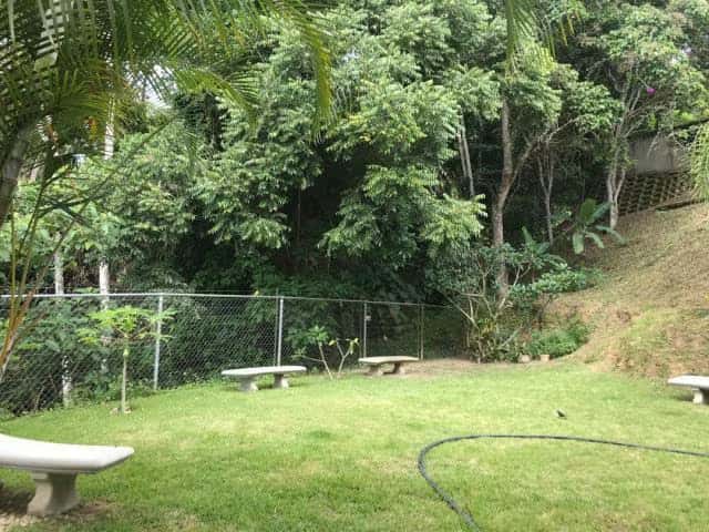 View 52
