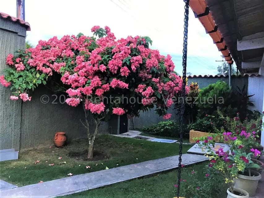 View 14