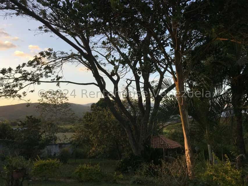 View 11