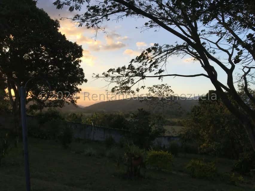 View 9