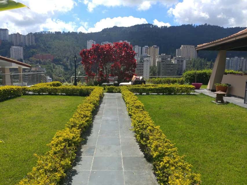 View 21