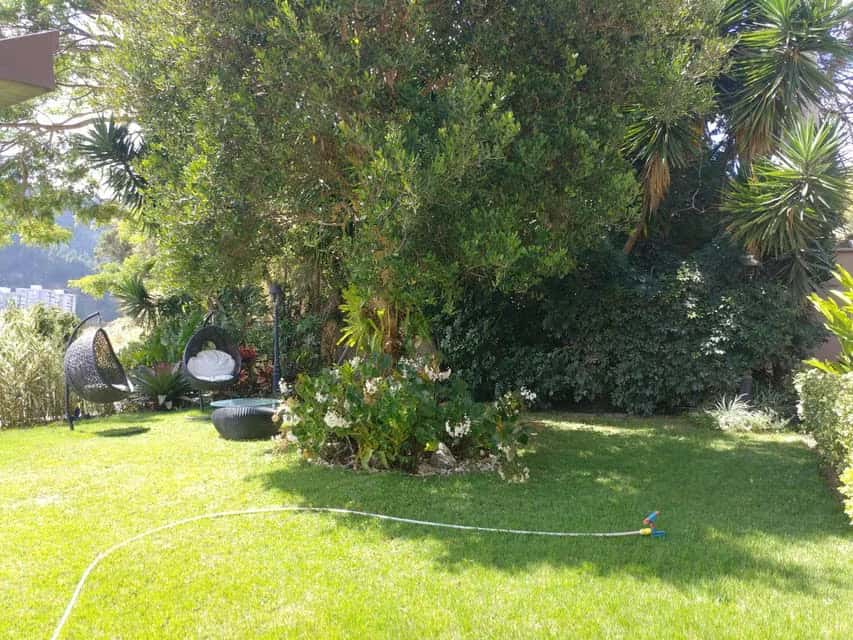 View 25