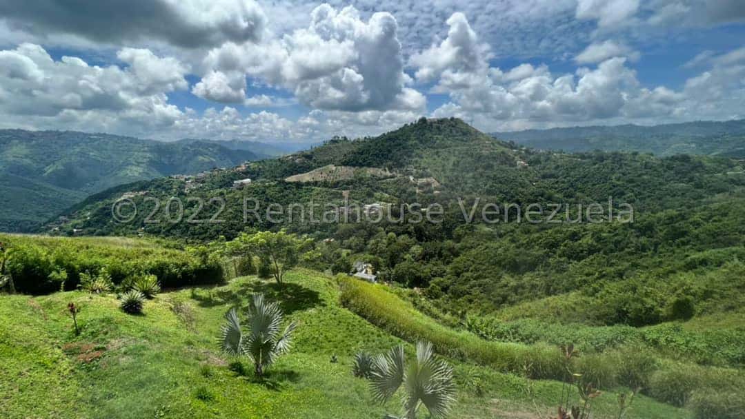 Vista 34