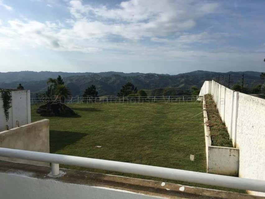 View 5