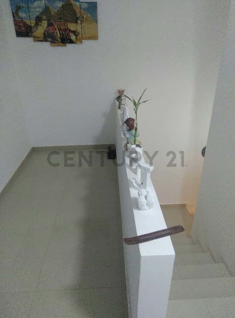 Vista 11