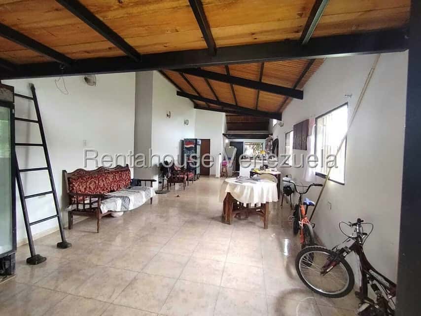Vista 6