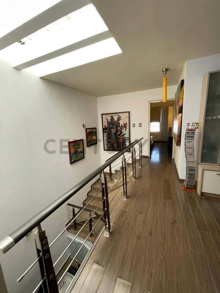 Vista 13