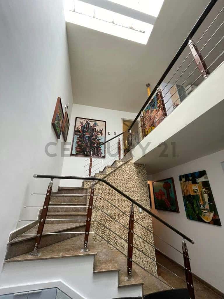 Vista 14