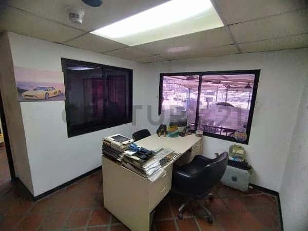 Vista 6