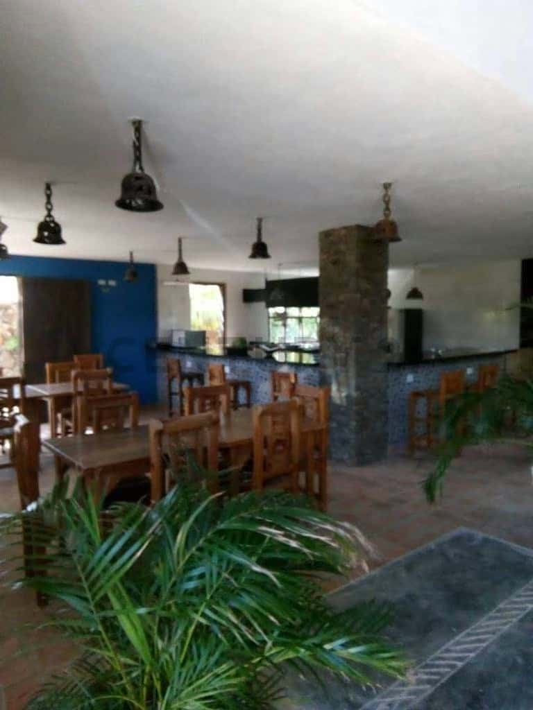 View 19