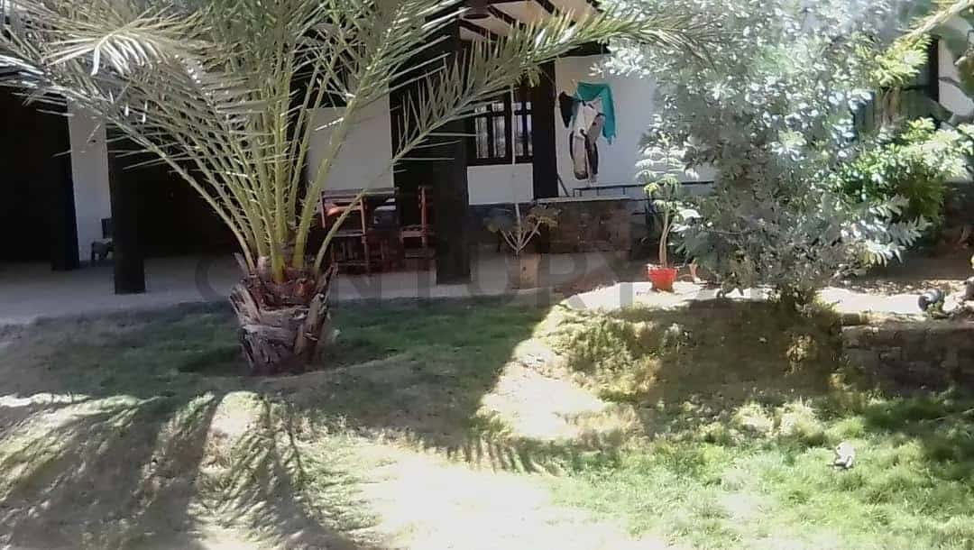 View 24