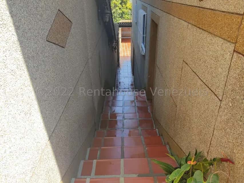Vista 38