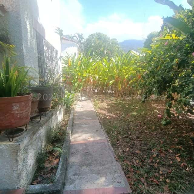 Vista 3