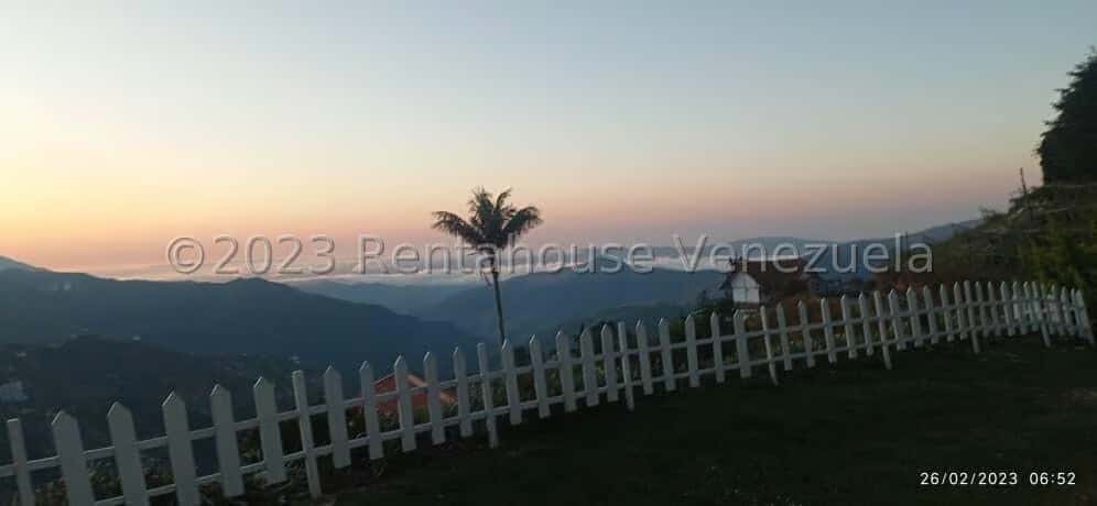 View 16