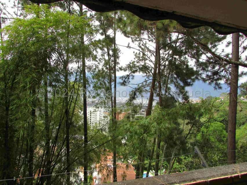 Vista 15