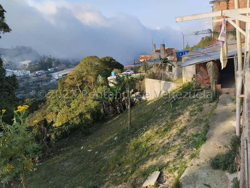 View 25
