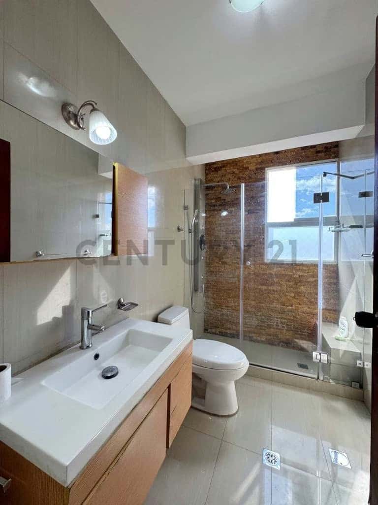 Vista 14
