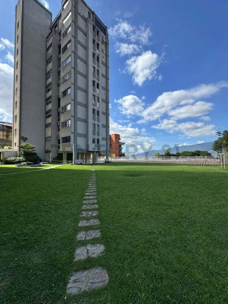 Vista 3