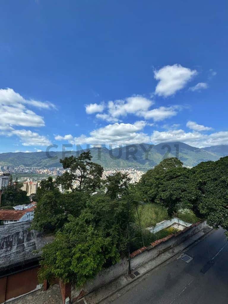 Vista 4