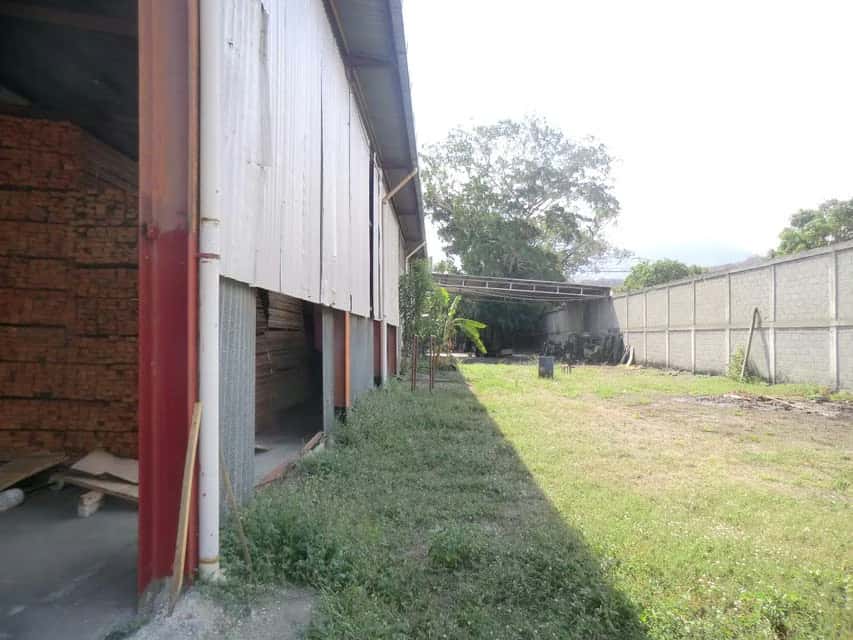 View 5