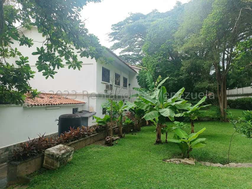 View 54