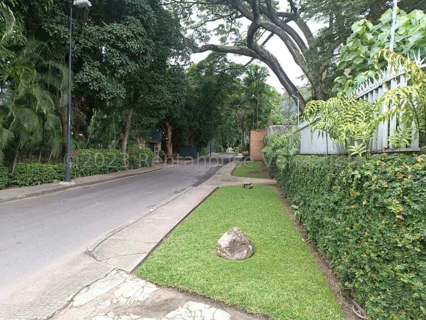 View 66