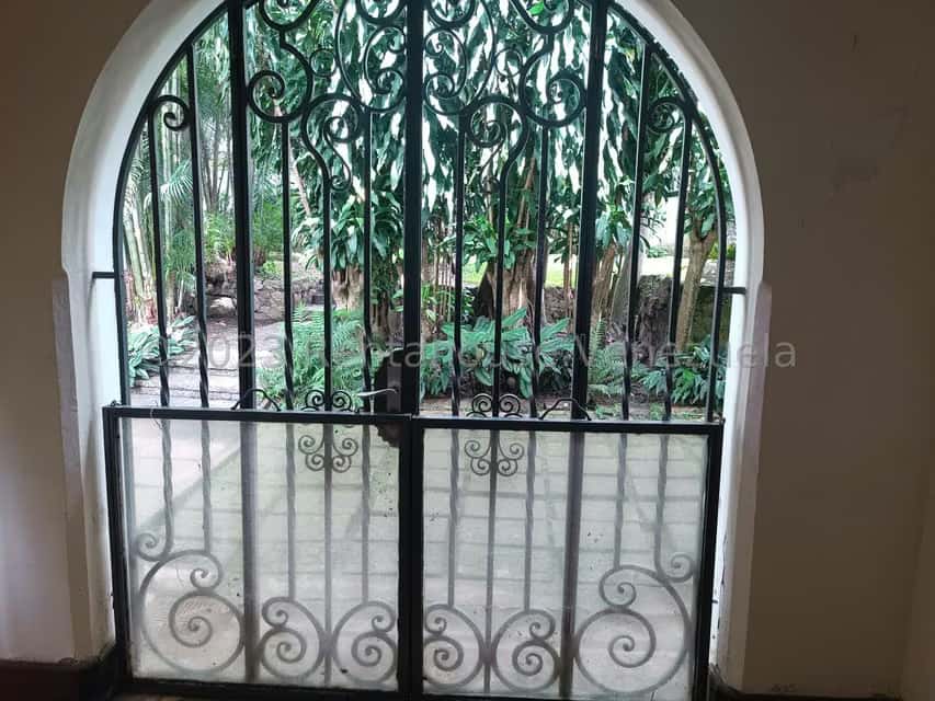 View 8