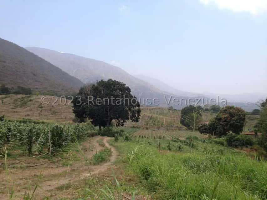 Vista 5