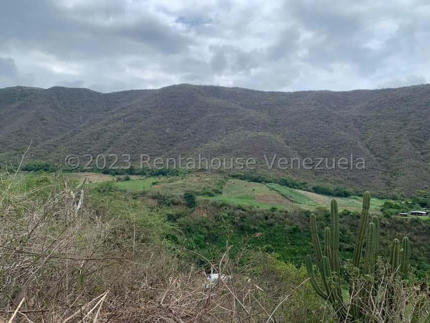 Vista 7