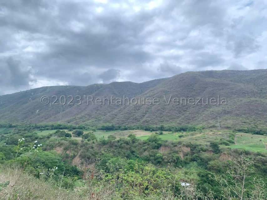 Vista 9