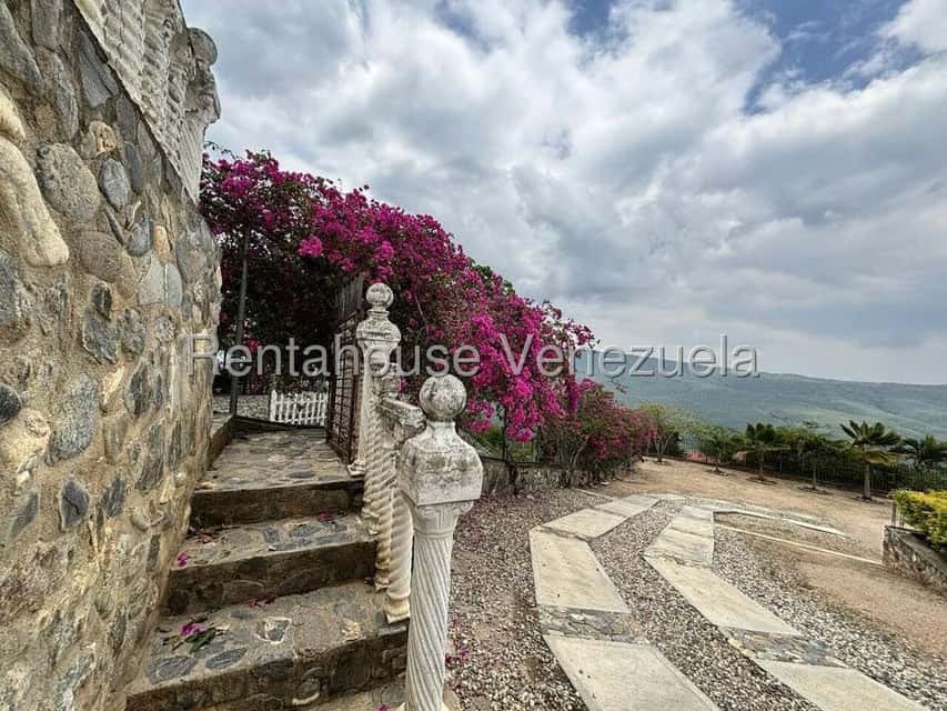 View 22