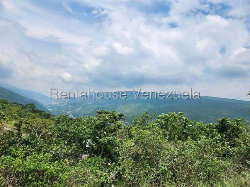 View 28