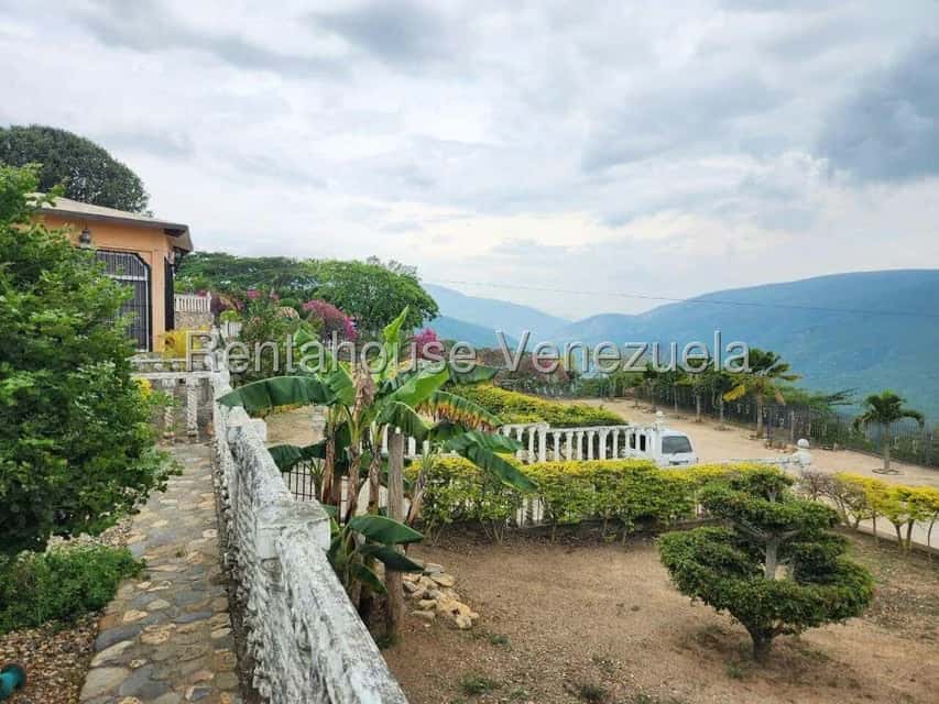 View 29