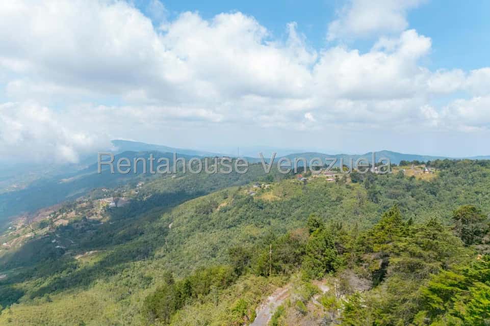 View 39
